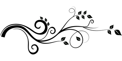vine-1948358_1280.png