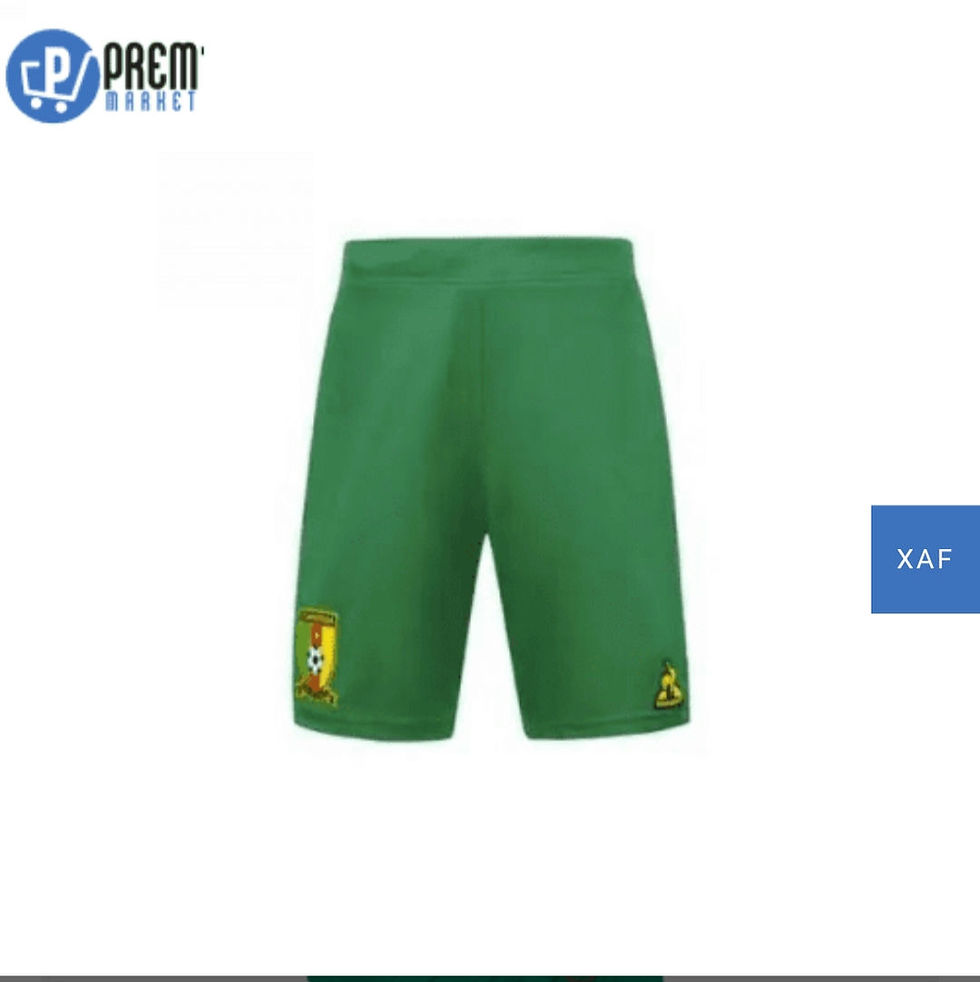 Miniature : NOUVEAU MAILLOT CAN 20

By prem market 