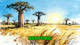 L’histoire du Ghana est l’une des plus prestigieuses du continent africain. Elle est marquée par de grandes civilisations, des royaumes puissants, une immense richesse en or, la traite négrière, 