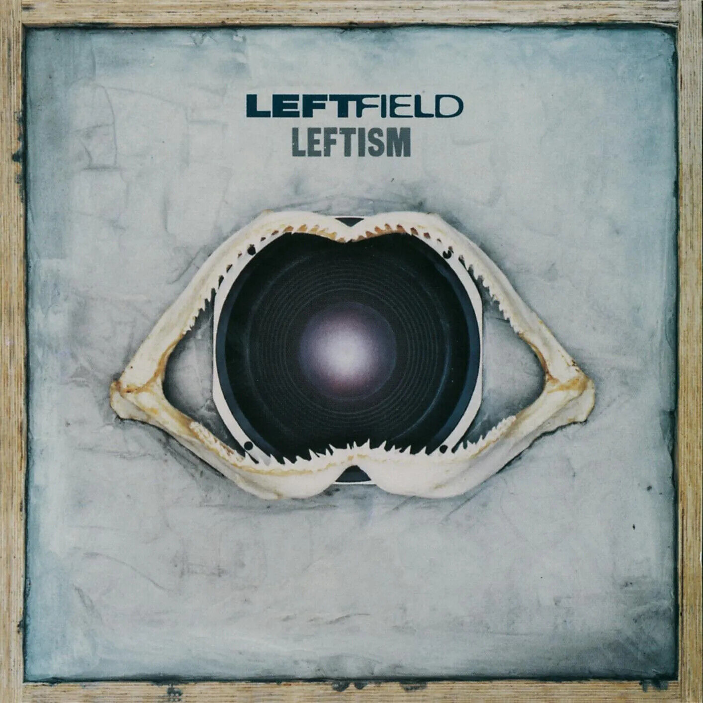 LEFTFIELD - LEFTISM