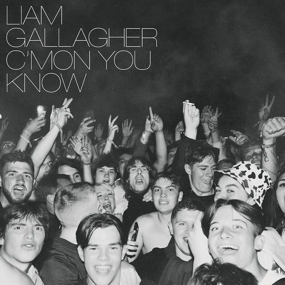 GALLAGHER , LIAM - C'MON YOU KNOW