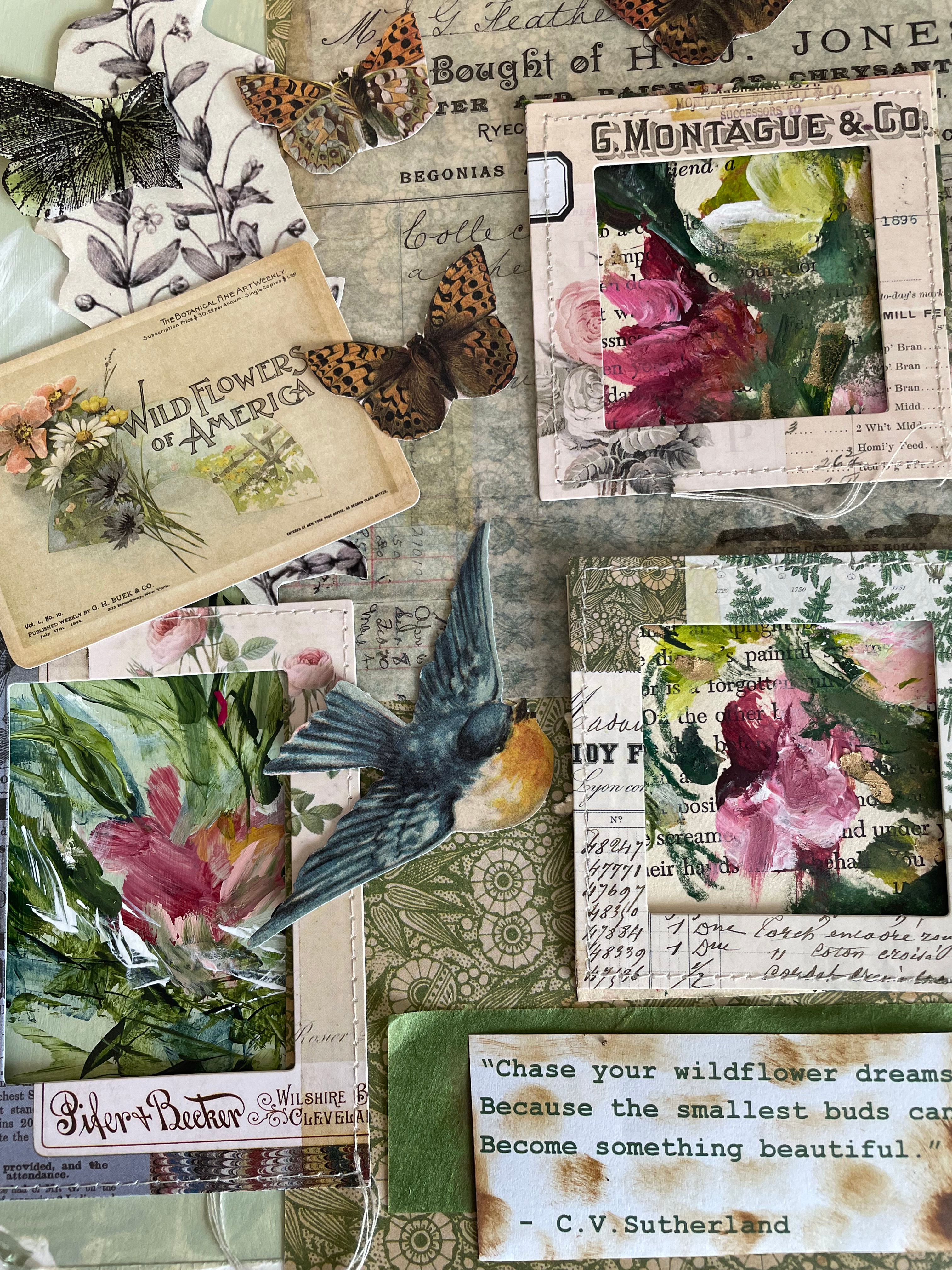 Wild Flowers of America