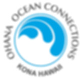 OHANA OCEAN CONNECTIONS - Whale Watch - Snorkel / Sightseeing & Dolphin Watch - Night Time Manta Magic Snorkel - Ohana Surf L