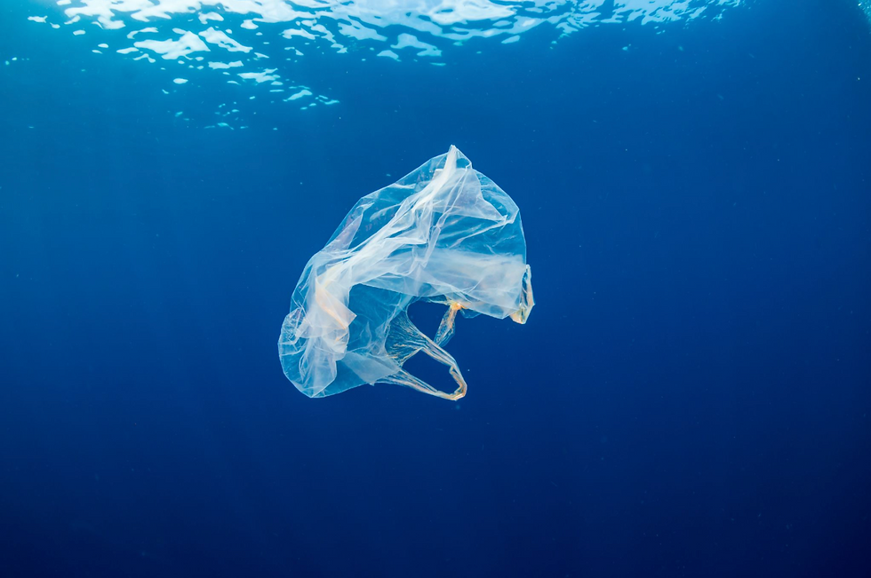 Discarded plastic bag in marine waters