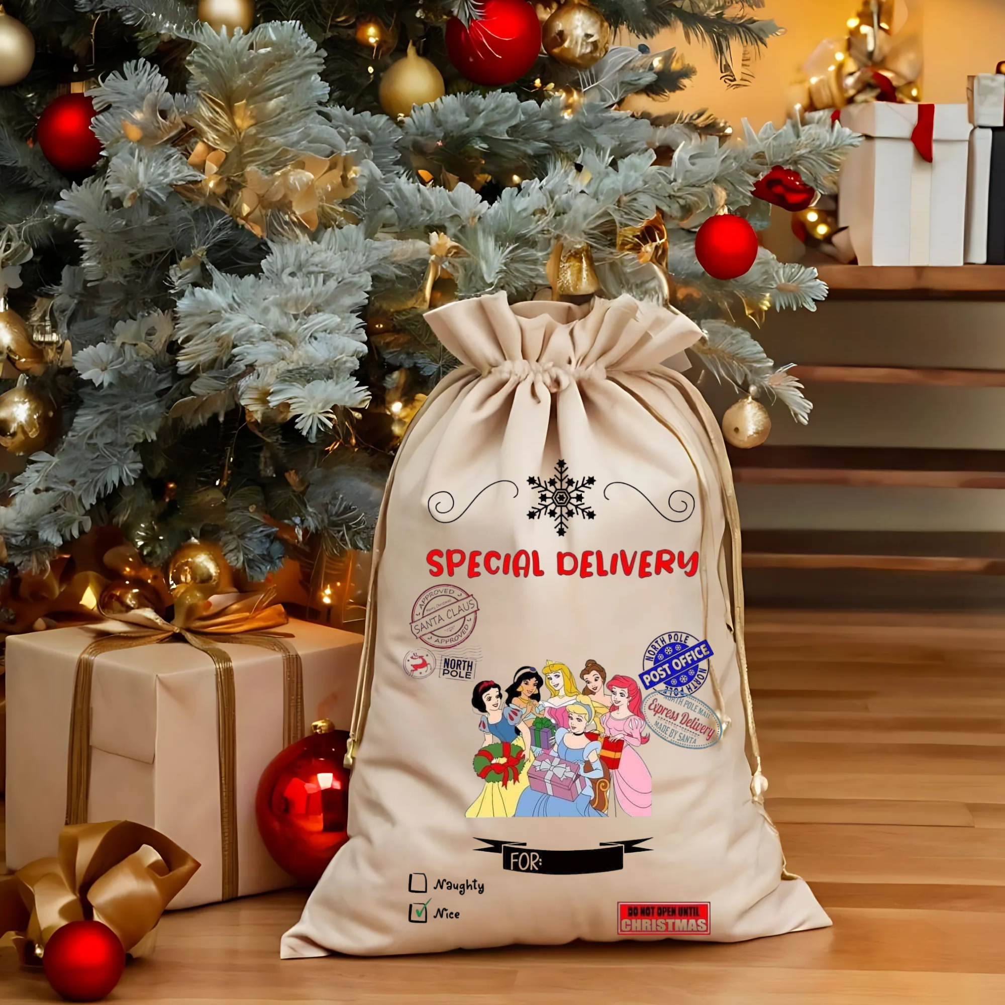 Special Delivery Disney Princess - DTF Transfer