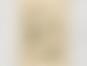 Best Price! Prayer for Priests by St. Therese Holy Card