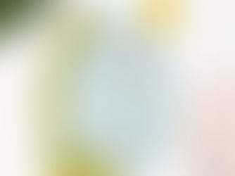 Hot Review! Brontosaurus Sky Dinosaur Girl's Birthday Invitation