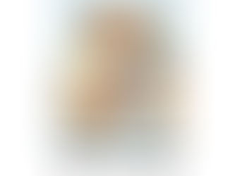 Hot Review! Woodland Animals Baby Boy Nursery Lamp