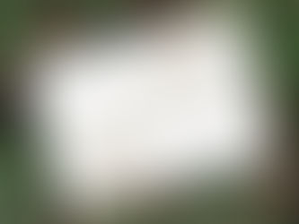 Big Deals! Modern Gold Script Happy Holidays Business Holiday