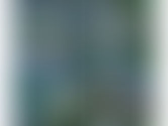 Hot Review! Waterlilies by Claude Monet, Vintage Impressionism Triptych