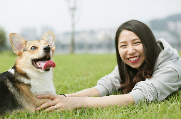 コーギー 幸せ 写真 公園 家族 corgi dog pet