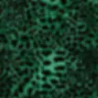 LH900395---Lady-Leopard---Emerald---Thumbnail_47c3f603-16b1-4926-b474-e333e1035039.webp