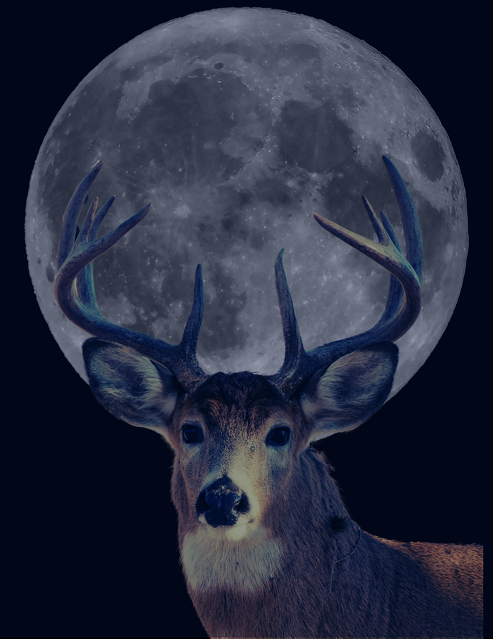 Special Event! Buck Moon Magic – A Full Moon Wellness Session