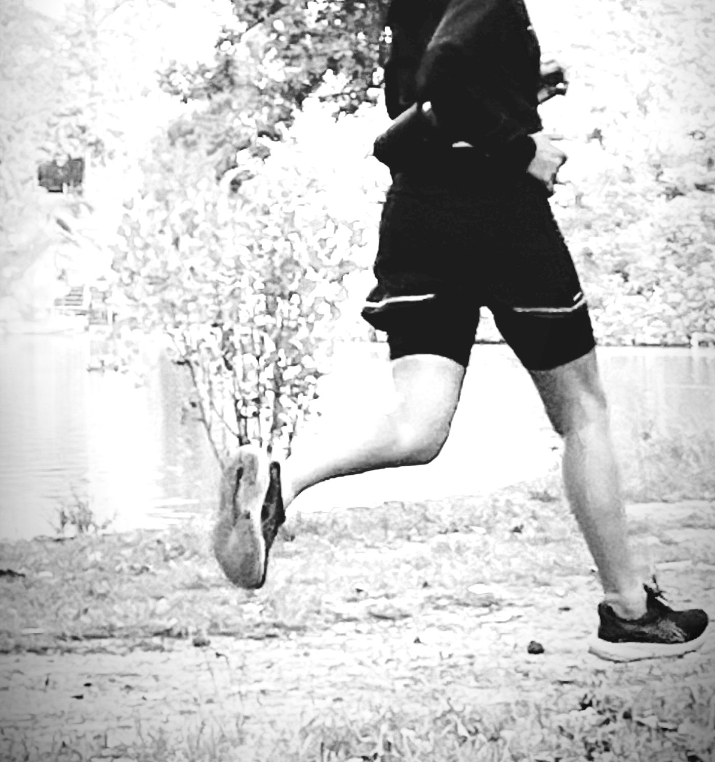 Agamia running Sandrine Le Guern Marçais