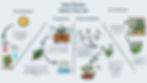 How Plants Clean Your Air