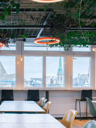 Contemporary lunch room with hanging plants and greenery on the ceiling, promoting creativity and well-being in the office