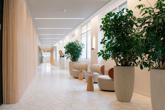 Ein heller Büroflur mit integrierten Pflanzen schafft eine einladende und beruhigende Umgebung. Pflanzen entlang der Wege verbessern das Raumklima und hinterlassen einen positiven ersten Eindruck. Perfekt für moderne und nachhaltige Bürogestaltung.