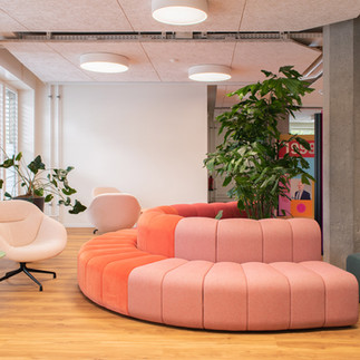 Modern office lounge with pink circular seating, armchairs, and a large indoor plant.