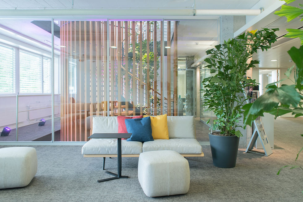 Büro-Lounge mit Sofa, bunten Kissen und einer großen grünen Pflanze in einem schwarzen Topf.