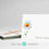 Thumbnail: White Daisy Note Cards