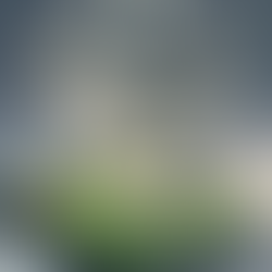 The Wealth Playbook That Changed the Game: A Success Story Spotlight