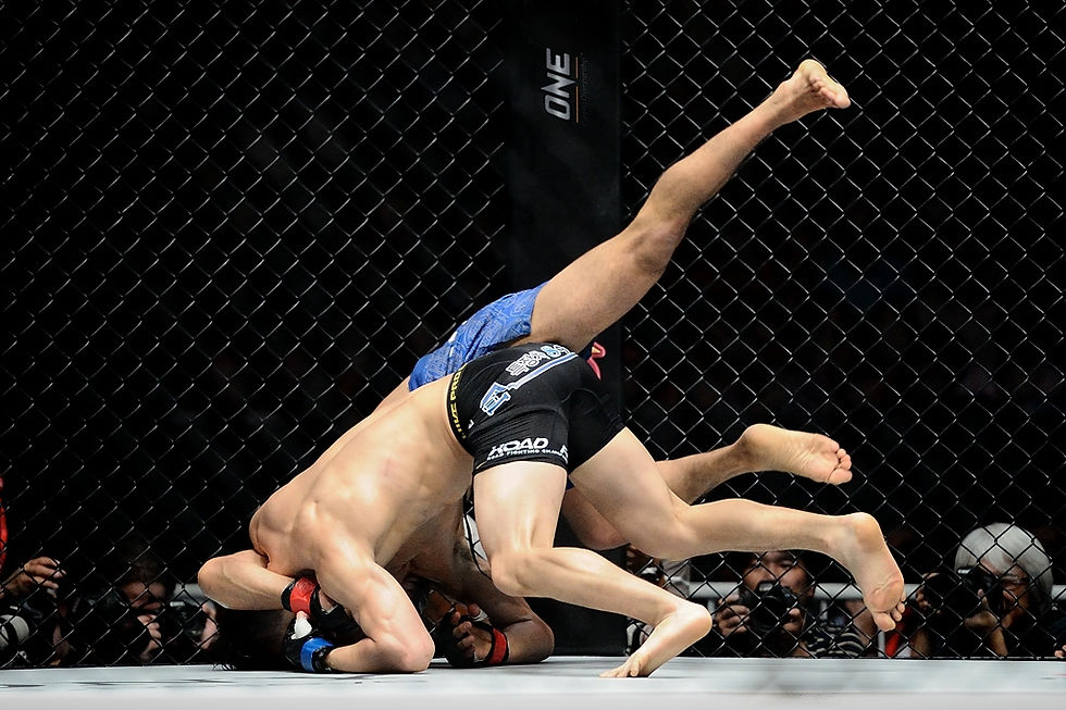 One Fighting Championship