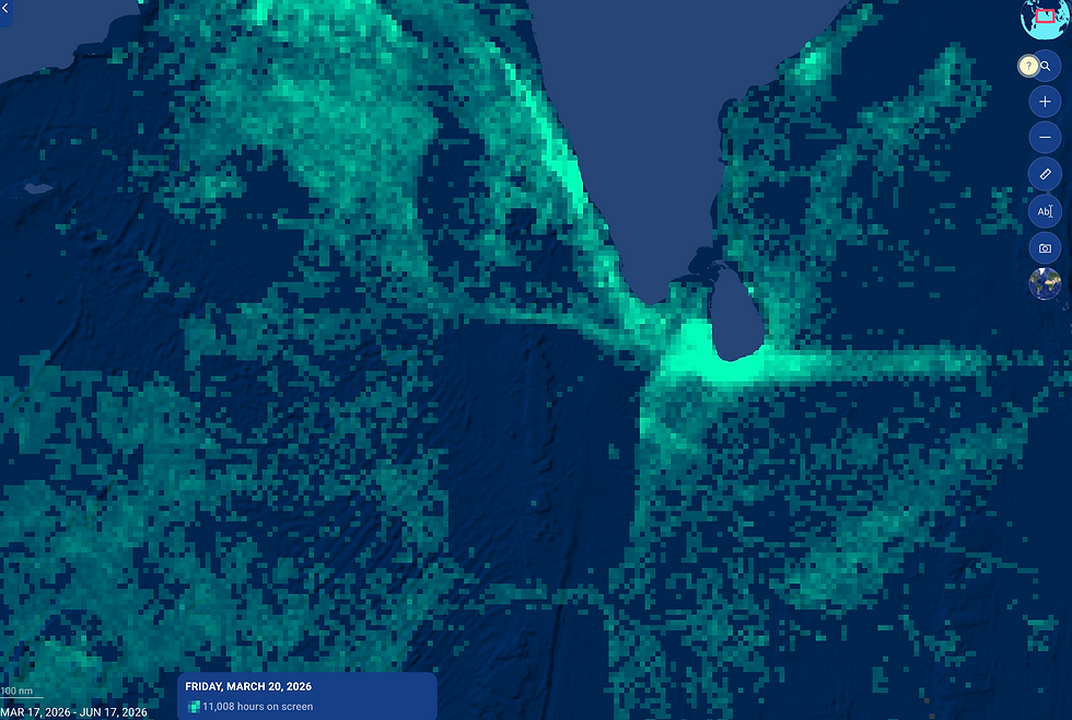A screenshot of the Maldives from the Global Fishing Watch, a public database that tracks fishing vessels around the world. As you can see, the Maldives has almost zero green spots, meaning zero fishing vessels, thanks to the establishment of a shark and ray sanctuary. Click the image to visit the website.