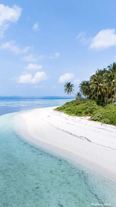 The Perfect Beach