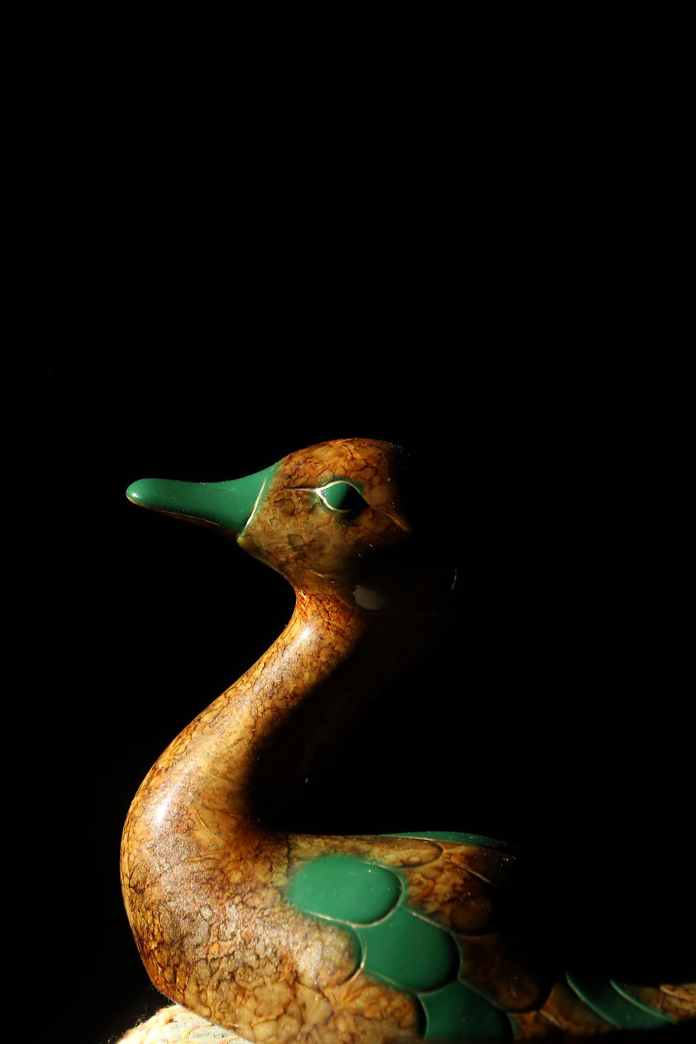 Photo Art abstrait. Portrait canard resine