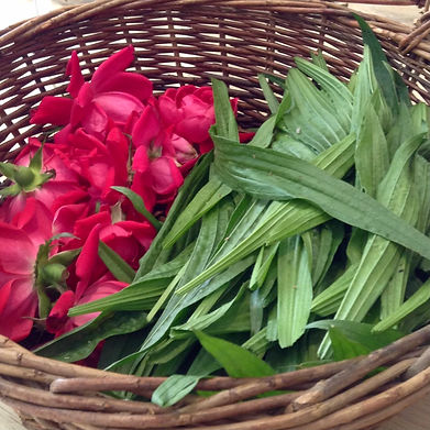 rose plantain basket.jpeg