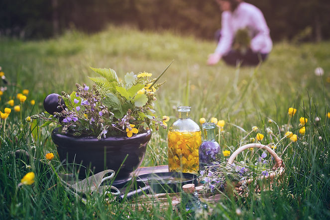 Mortar of medicinal herbs, old book, infusion bottle, scissors, basket and magnifying glas