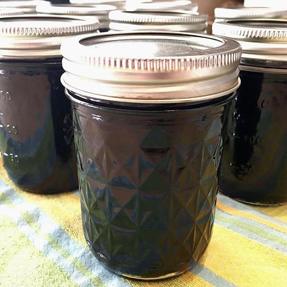 elderberry syrup