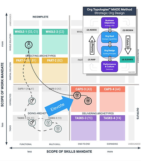 Org Topologies_ extended maps 2025 - mapping.jpg