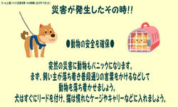 チーム上尾（ペット防災P2）