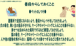 チーム上尾（ペット防災P3）