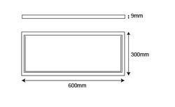 智能雙色平板燈 30X60 01