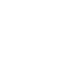 Sketched Arrow_edited.png
