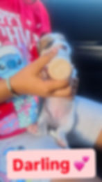 82CA6D0A-8A9F-4157-B633-1EA50627F7E1