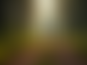 Creative Corporate Challenge Event Ideas for Corporate Team Events