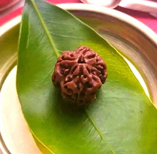 rudraksh_edited.jpg