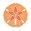 sanddollar.png