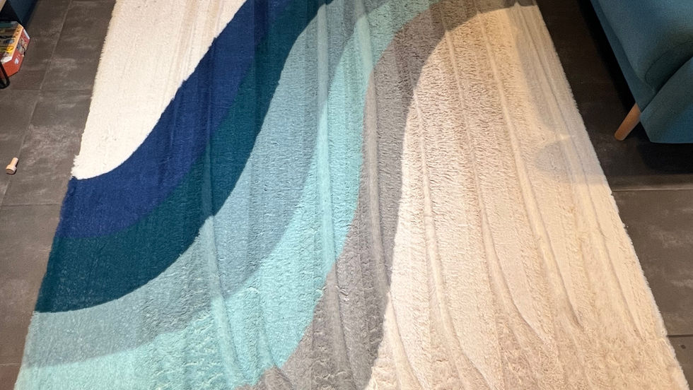 🏠 Tapis & moquettes