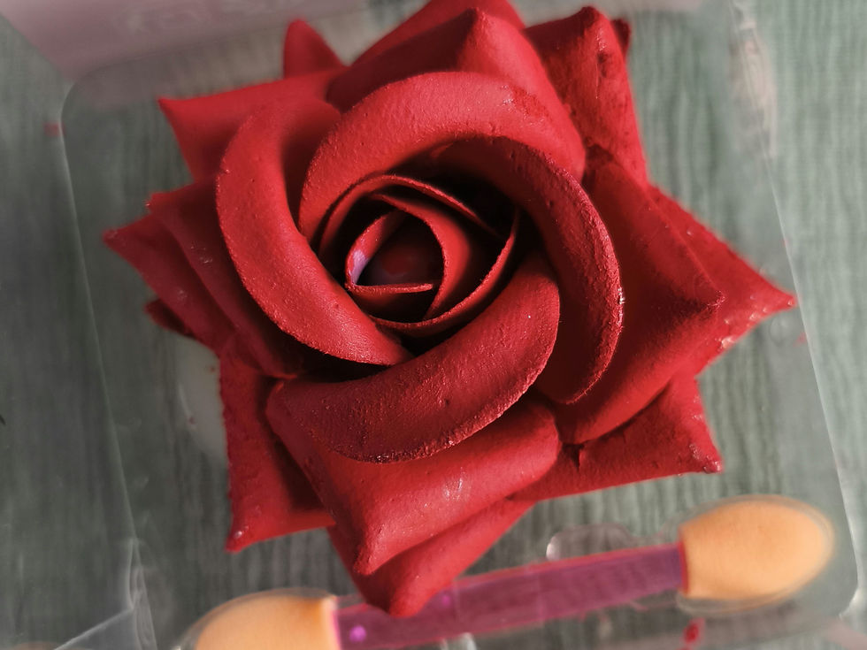 Miniature : Blush rose 🌹