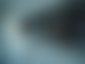 How do kevinleo air flow switches work?