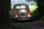 DSC04891.JPG