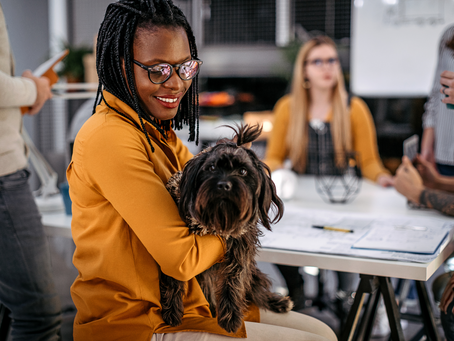 WHO LET THE DOGS IN?