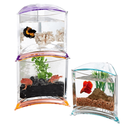 Triangular Fish Tank Triangle Tank | PetaPond