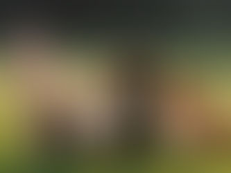 POSITIVE REINFORCEMENT IS THE ONLY WAY!