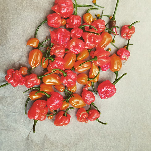 chilli mash.jpg