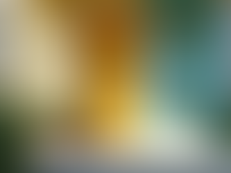 How to Elevate Your Property Value with These 5 Essential Home Repairs in Madison County